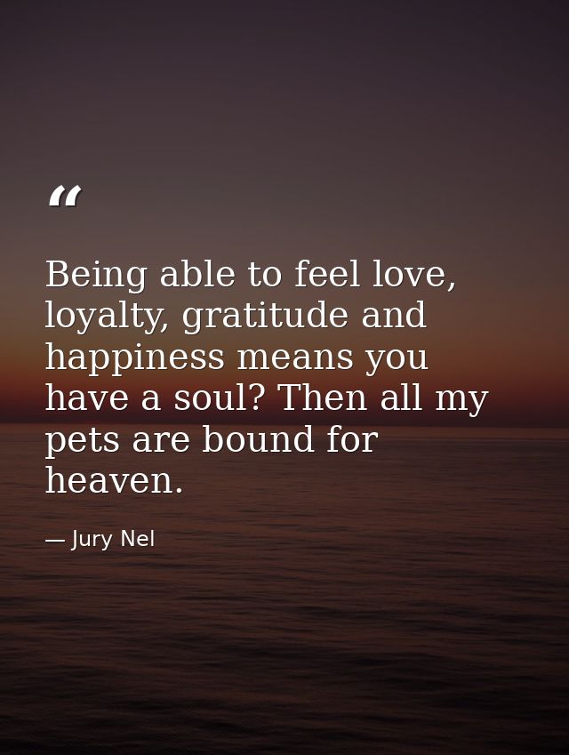 Being able to feel love, loyalty, gratitude and happiness means you have a soul? Then all my pets are bound for heaven. — Jury Nel