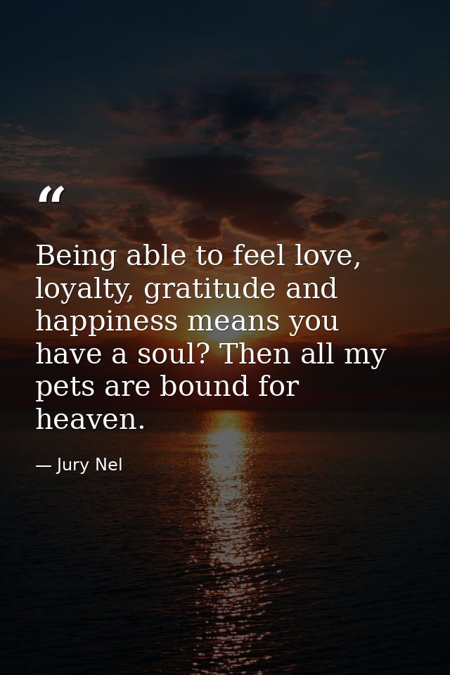 Being able to feel love, loyalty, gratitude and happiness means you have a soul? Then all my pets are bound for heaven. — Jury Nel