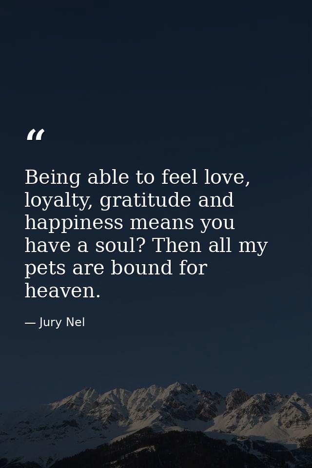 Being able to feel love, loyalty, gratitude and happiness means you have a soul? Then all my pets are bound for heaven. — Jury Nel