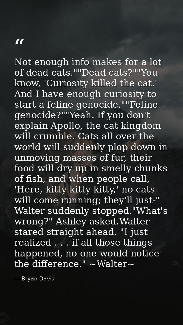 Not enough info makes for a lot of dead cats.""Dead cats?""You know, 'Curiosity killed the cat.' And I have enough curio — Bryan Davis