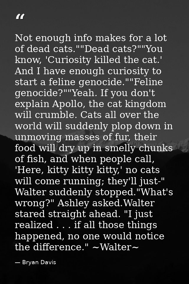 Not enough info makes for a lot of dead cats.""Dead cats?""You know, 'Curiosity killed the cat.' And I have enough curio — Bryan Davis