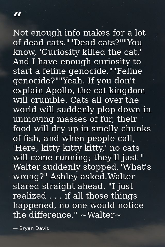Not enough info makes for a lot of dead cats.""Dead cats?""You know, 'Curiosity killed the cat.' And I have enough curio — Bryan Davis