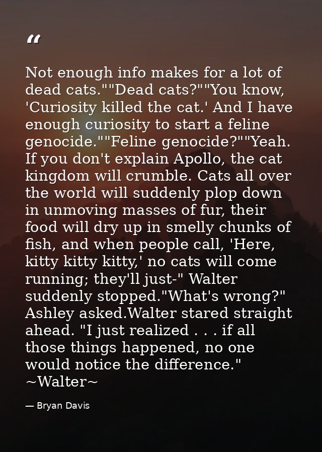 Not enough info makes for a lot of dead cats.""Dead cats?""You know, 'Curiosity killed the cat.' And I have enough curio — Bryan Davis