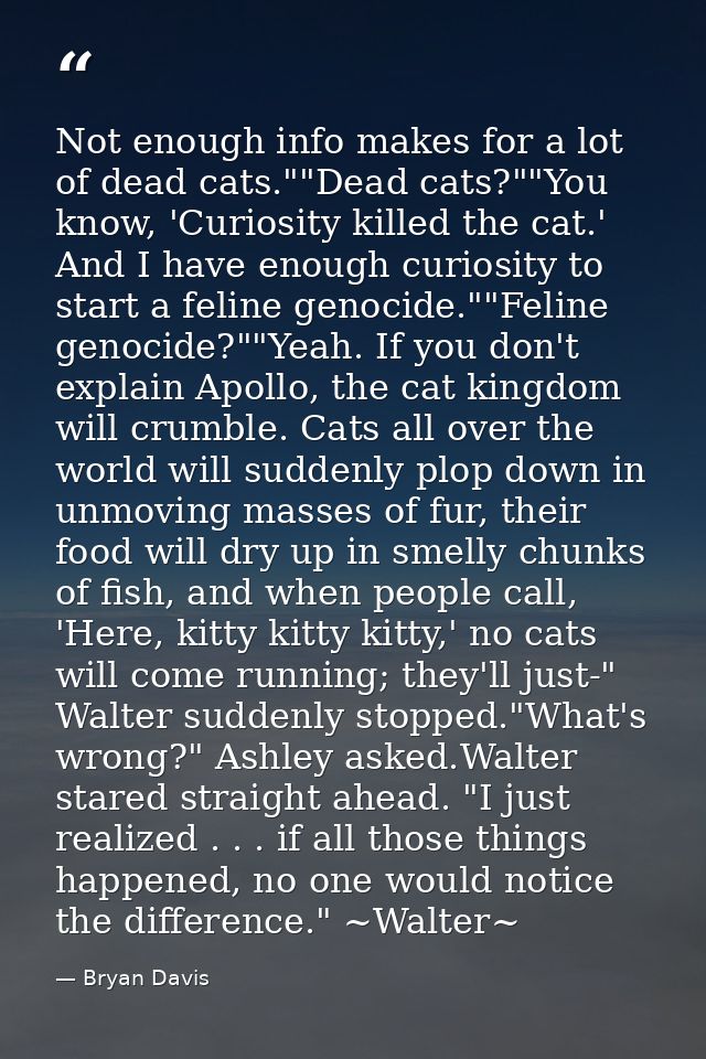 Not enough info makes for a lot of dead cats.""Dead cats?""You know, 'Curiosity killed the cat.' And I have enough curio — Bryan Davis