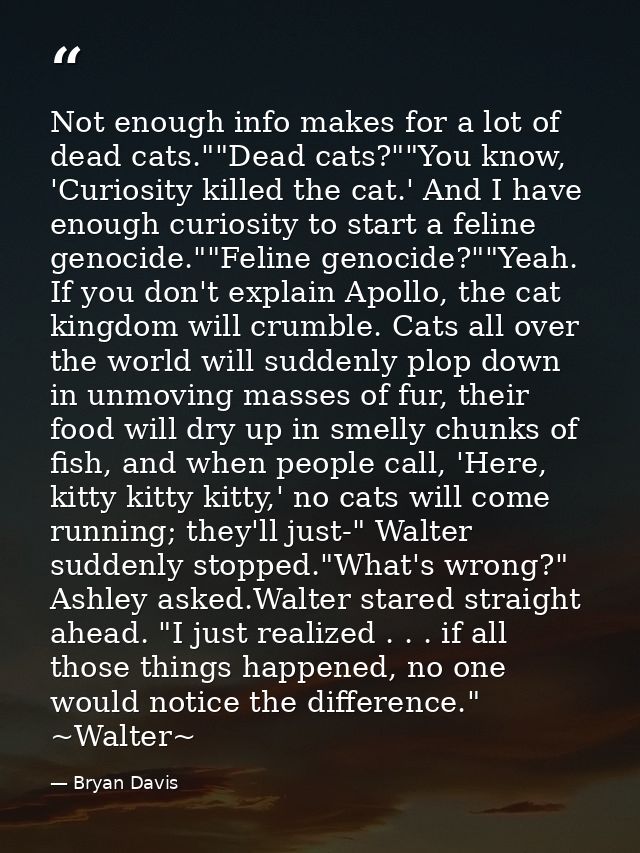 Not enough info makes for a lot of dead cats.""Dead cats?""You know, 'Curiosity killed the cat.' And I have enough curio — Bryan Davis