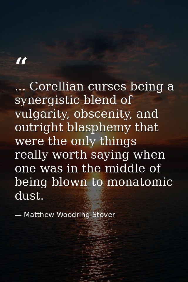 ... Corellian curses being a synergistic blend of vulgarity, obscenity, and outright blasphemy that were the only things — Matthew Woodring Stover