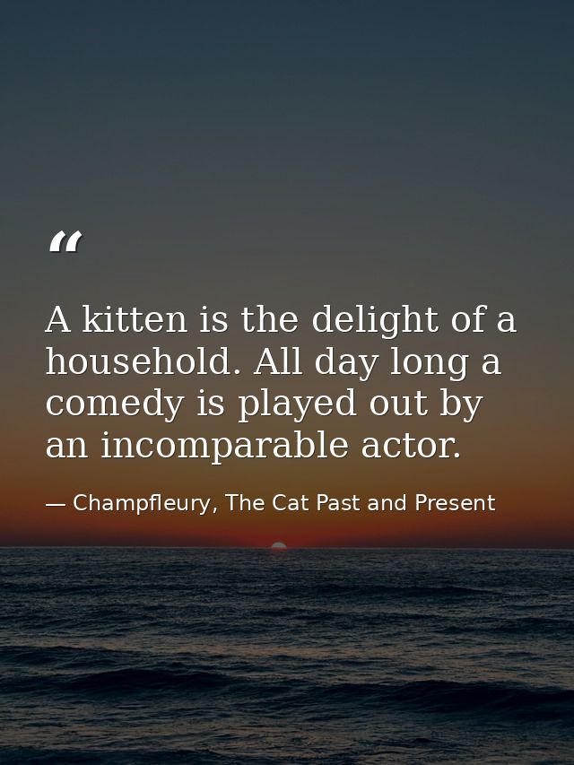 A kitten is the delight of a household. All day long a comedy is played out by an incomparable actor. — Champfleury, The Cat Past and Present