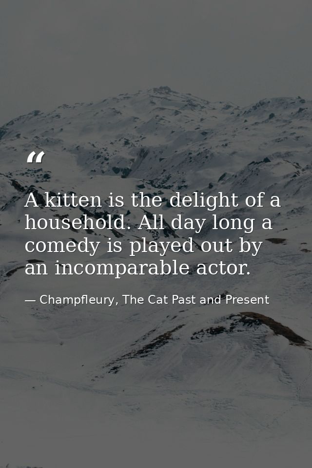 A kitten is the delight of a household. All day long a comedy is played out by an incomparable actor. — Champfleury, The Cat Past and Present