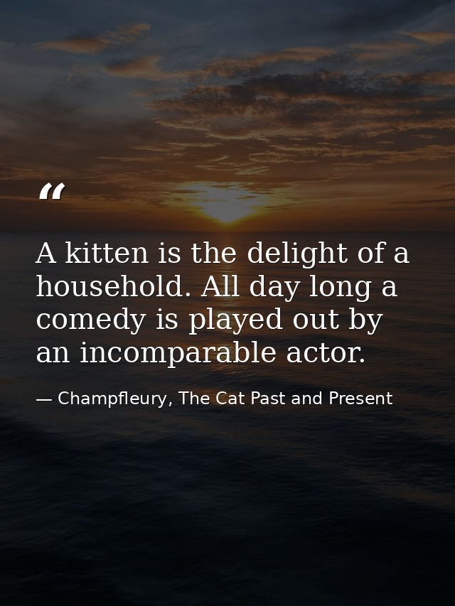 A kitten is the delight of a household. All day long a comedy is played out by an incomparable actor. — Champfleury, The Cat Past and Present