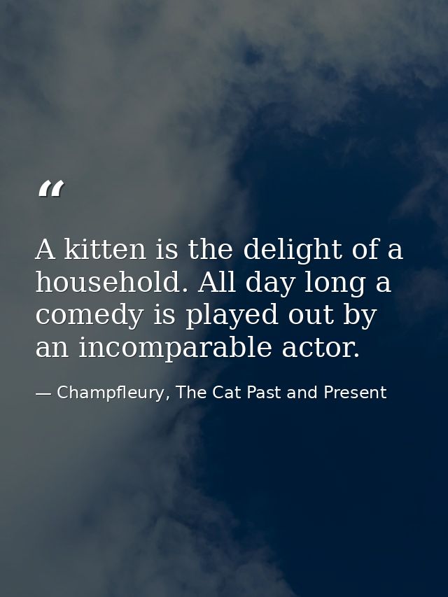 A kitten is the delight of a household. All day long a comedy is played out by an incomparable actor. — Champfleury, The Cat Past and Present