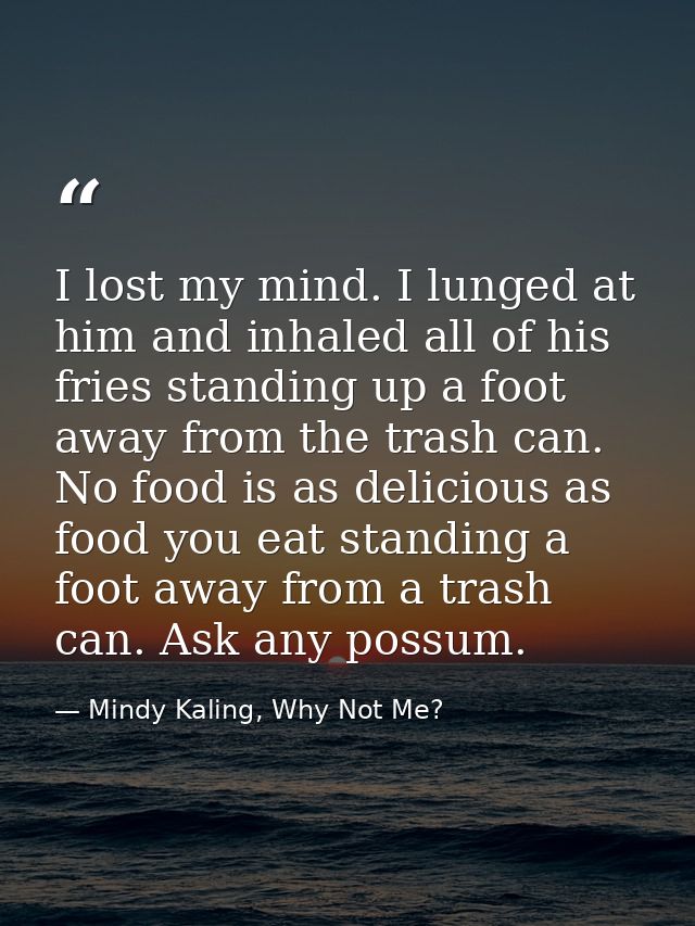 I lost my mind. I lunged at him and inhaled all of his fries standing up a foot away from the trash can. No food is as d — Mindy Kaling, Why Not Me?