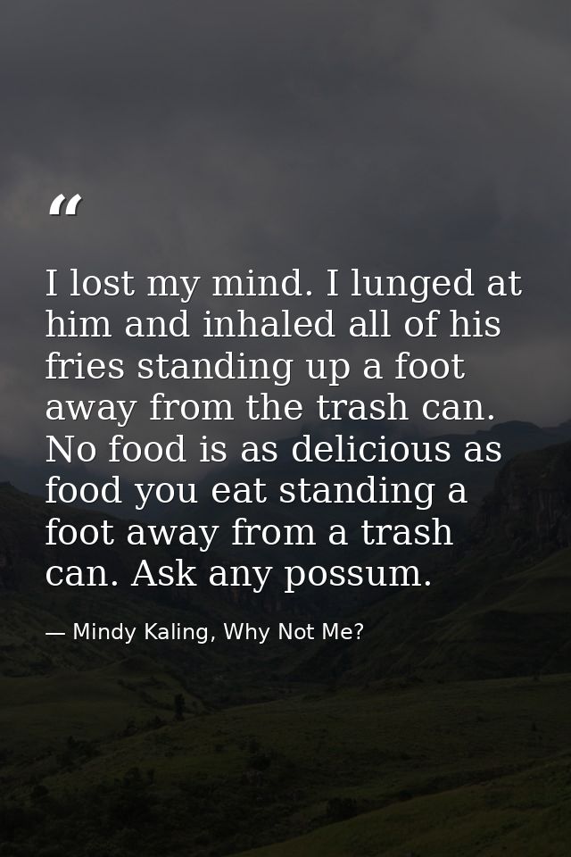 I lost my mind. I lunged at him and inhaled all of his fries standing up a foot away from the trash can. No food is as d — Mindy Kaling, Why Not Me?