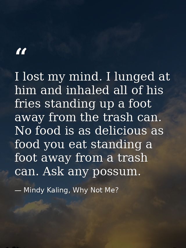 I lost my mind. I lunged at him and inhaled all of his fries standing up a foot away from the trash can. No food is as d — Mindy Kaling, Why Not Me?