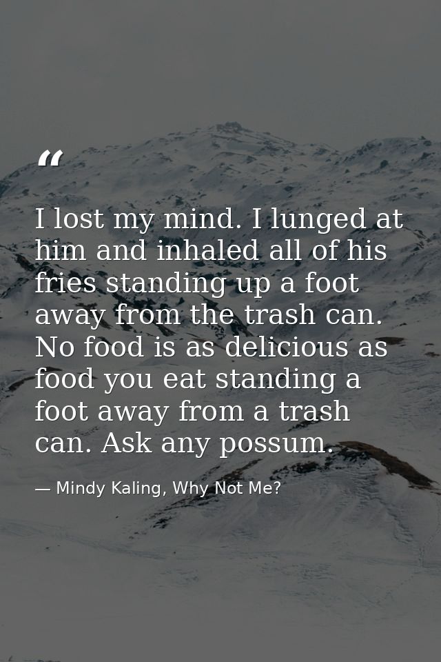 I lost my mind. I lunged at him and inhaled all of his fries standing up a foot away from the trash can. No food is as d — Mindy Kaling, Why Not Me?
