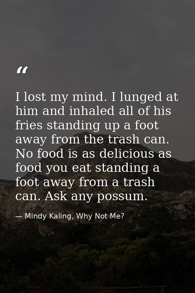 I lost my mind. I lunged at him and inhaled all of his fries standing up a foot away from the trash can. No food is as d — Mindy Kaling, Why Not Me?