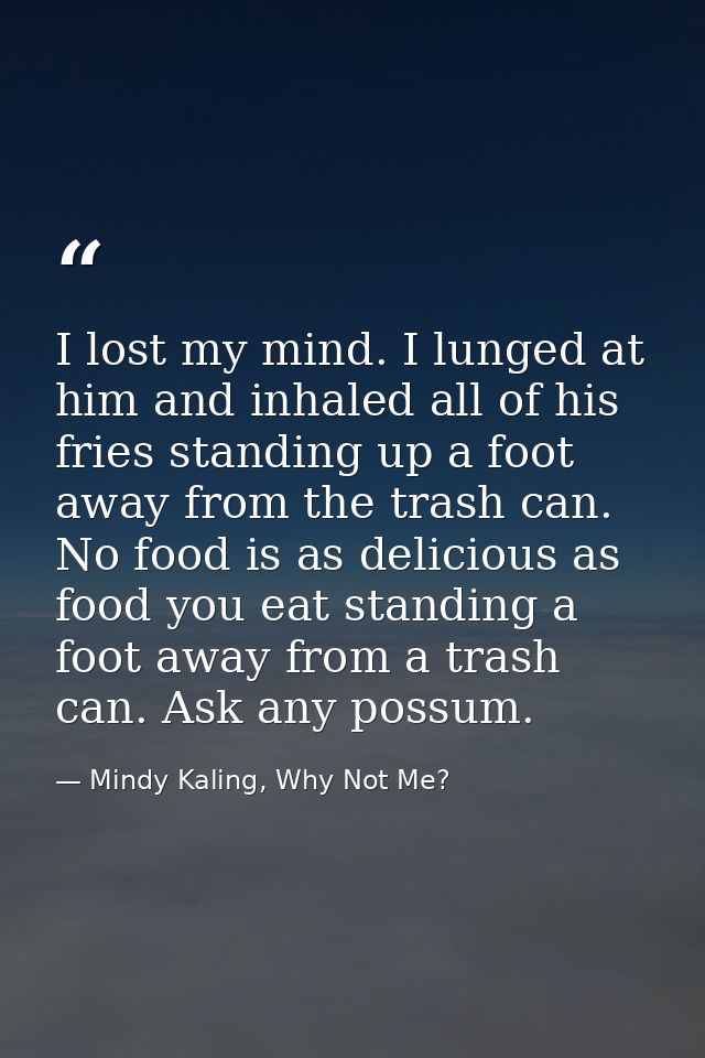 I lost my mind. I lunged at him and inhaled all of his fries standing up a foot away from the trash can. No food is as d — Mindy Kaling, Why Not Me?