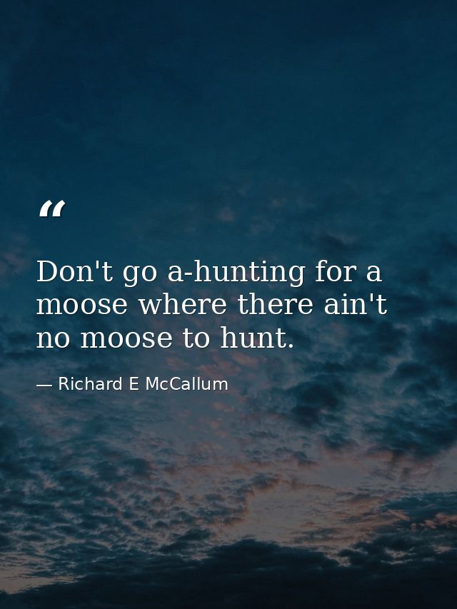 Don't go a-hunting for a moose where there ain't no moose to hunt. — Richard E McCallum