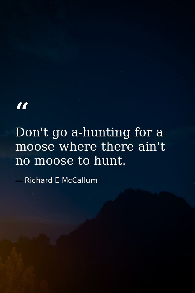 Don't go a-hunting for a moose where there ain't no moose to hunt. — Richard E McCallum