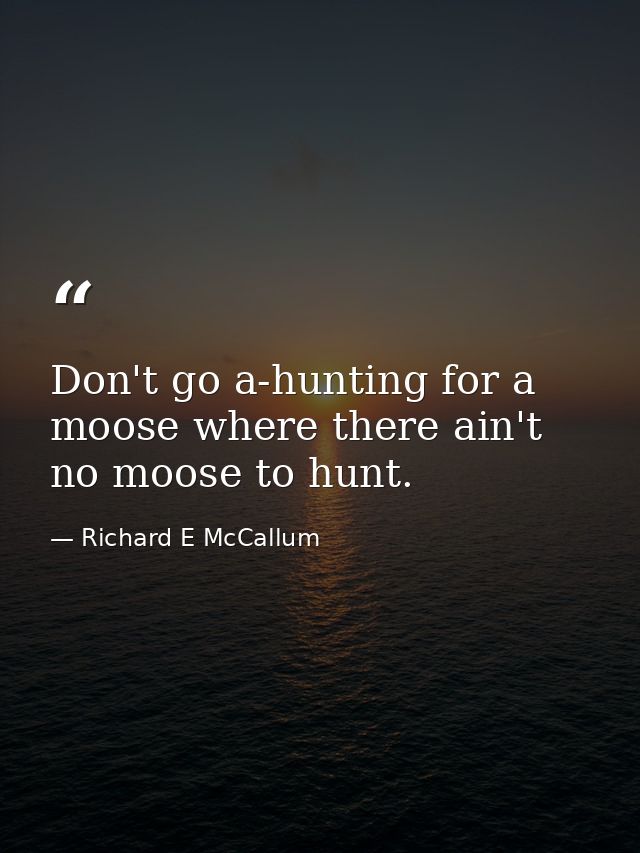 Don't go a-hunting for a moose where there ain't no moose to hunt. — Richard E McCallum