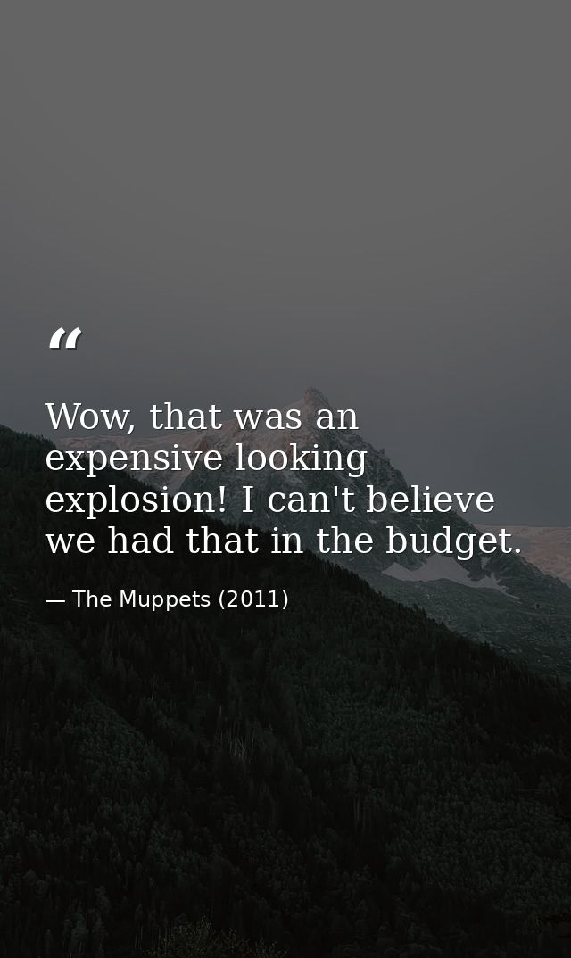 Wow, that was an expensive looking explosion! I can't believe we had that in the budget. — The Muppets (2011)