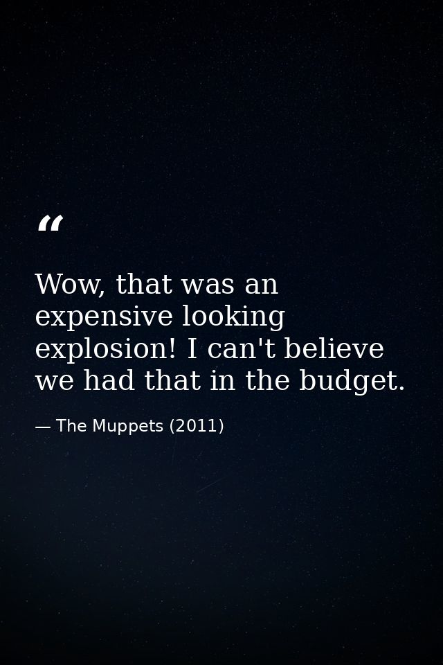 Wow, that was an expensive looking explosion! I can't believe we had that in the budget. — The Muppets (2011)