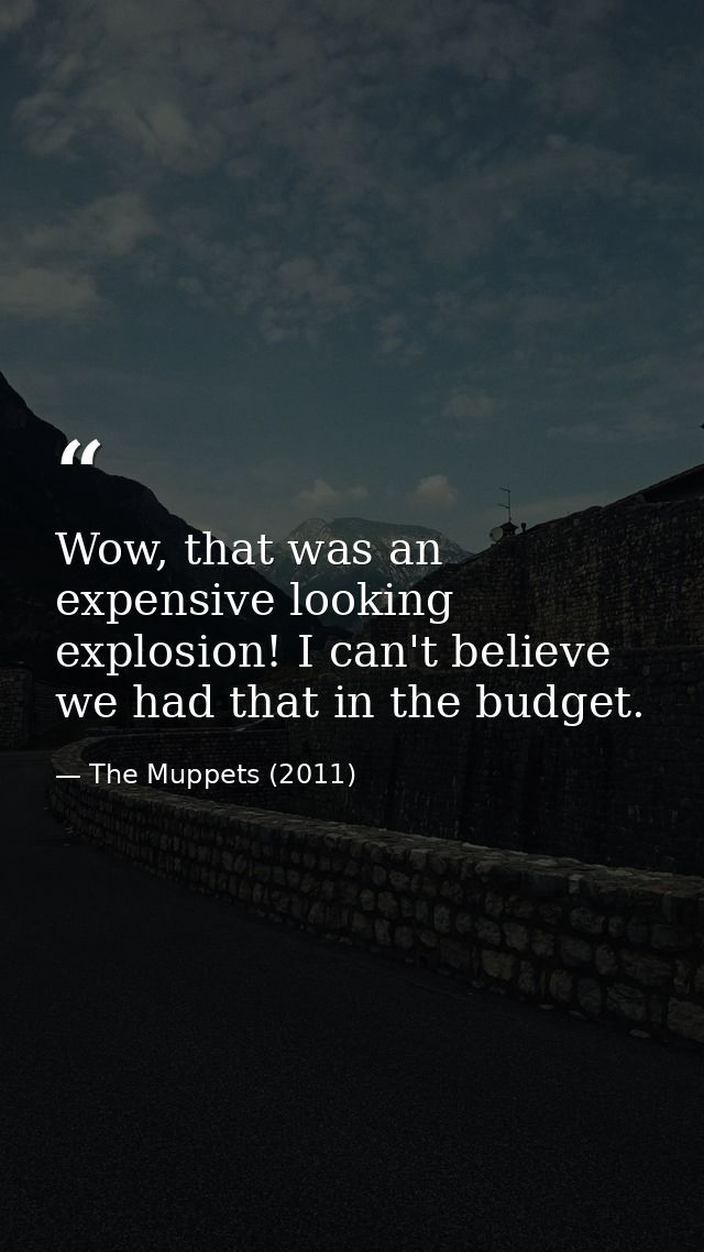 Wow, that was an expensive looking explosion! I can't believe we had that in the budget. — The Muppets (2011)
