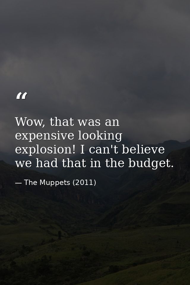Wow, that was an expensive looking explosion! I can't believe we had that in the budget. — The Muppets (2011)