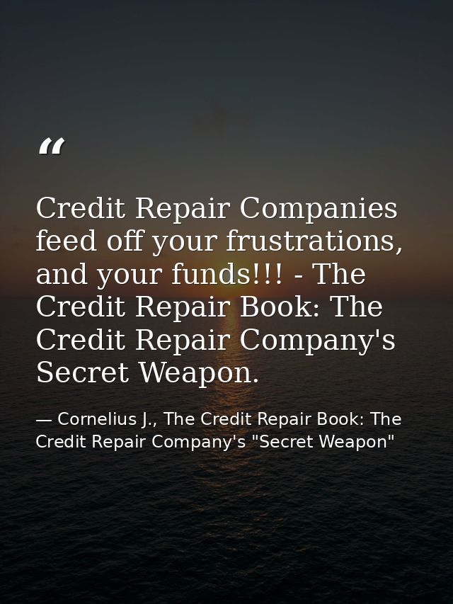 Credit Repair Companies feed off your frustrations, and your funds!!! - The Credit Repair Book: The Credit Repair Compan — Cornelius J., The Credit Repair Book: The Credit Repair Company's "Secret Weapon"