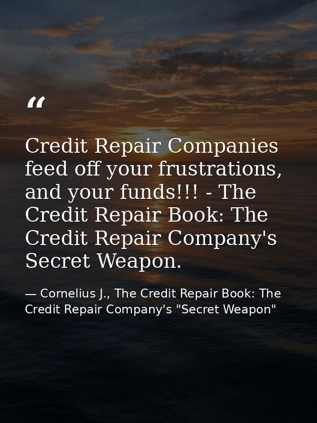 Credit Repair Companies feed off your frustrations, and your funds!!! - The Credit Repair Book: The Credit Repair Compan — Cornelius J., The Credit Repair Book: The Credit Repair Company's "Secret Weapon"
