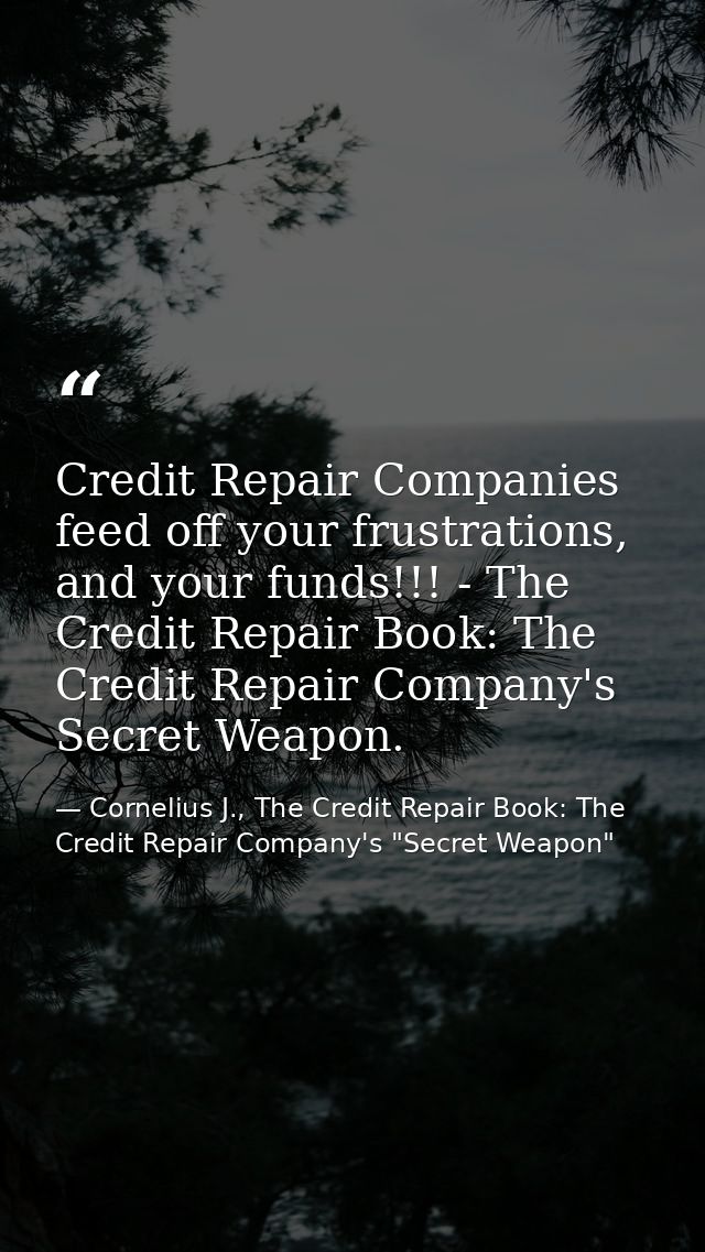 Credit Repair Companies feed off your frustrations, and your funds!!! - The Credit Repair Book: The Credit Repair Compan — Cornelius J., The Credit Repair Book: The Credit Repair Company's "Secret Weapon"