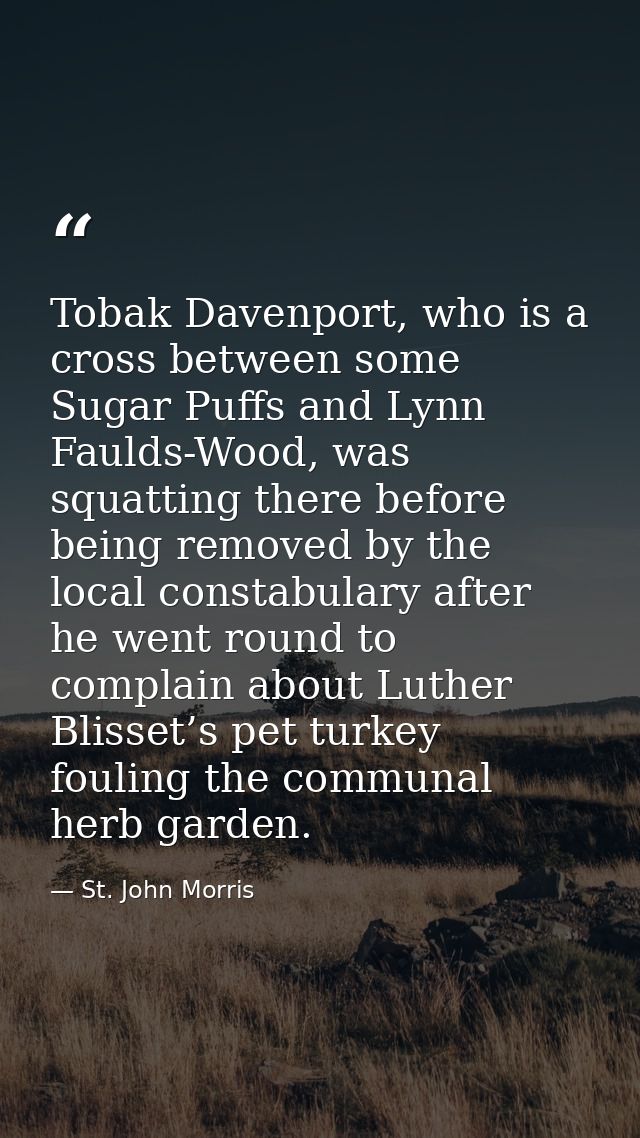 Tobak Davenport, who is a cross between some Sugar Puffs and Lynn Faulds-Wood, was squatting there before being removed  — St. John Morris