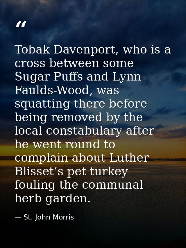 Tobak Davenport, who is a cross between some Sugar Puffs and Lynn Faulds-Wood, was squatting there before being removed  — St. John Morris