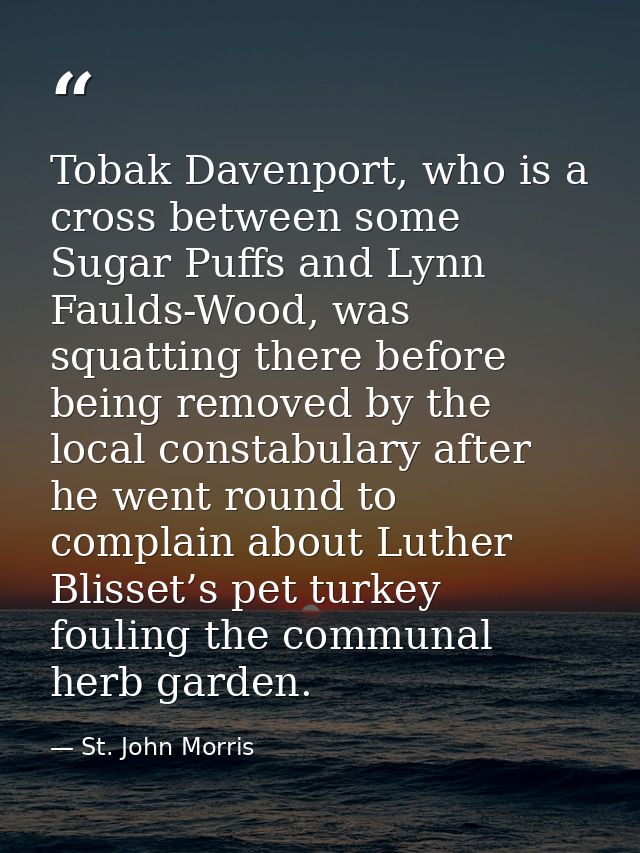 Tobak Davenport, who is a cross between some Sugar Puffs and Lynn Faulds-Wood, was squatting there before being removed  — St. John Morris