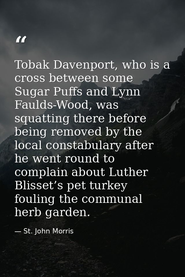 Tobak Davenport, who is a cross between some Sugar Puffs and Lynn Faulds-Wood, was squatting there before being removed  — St. John Morris