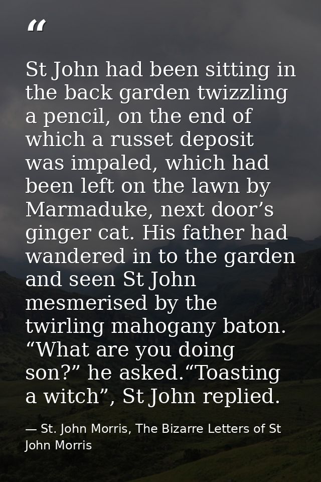 St John had been sitting in the back garden twizzling a pencil, on the end of which a russet deposit was impaled, which  — St. John Morris, The Bizarre Letters of St John Morris