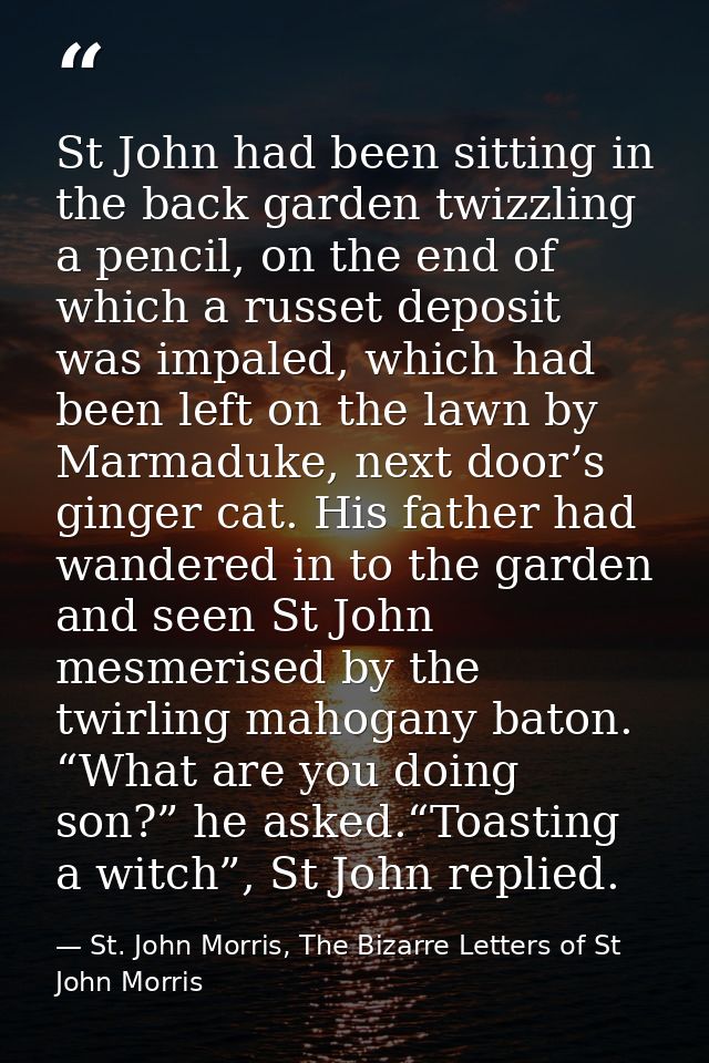 St John had been sitting in the back garden twizzling a pencil, on the end of which a russet deposit was impaled, which  — St. John Morris, The Bizarre Letters of St John Morris