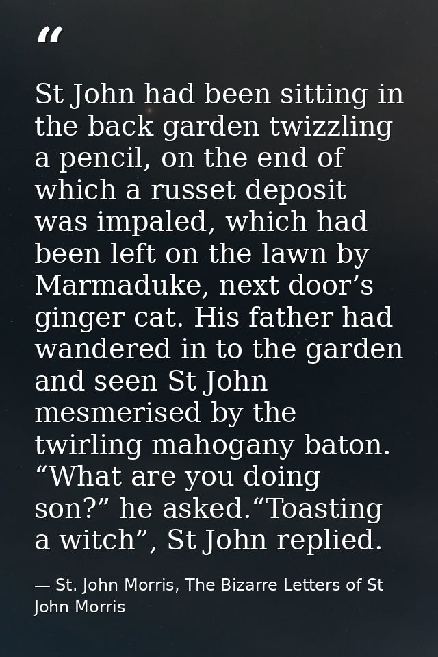 St John had been sitting in the back garden twizzling a pencil, on the end of which a russet deposit was impaled, which  — St. John Morris, The Bizarre Letters of St John Morris