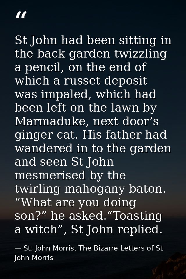 St John had been sitting in the back garden twizzling a pencil, on the end of which a russet deposit was impaled, which  — St. John Morris, The Bizarre Letters of St John Morris