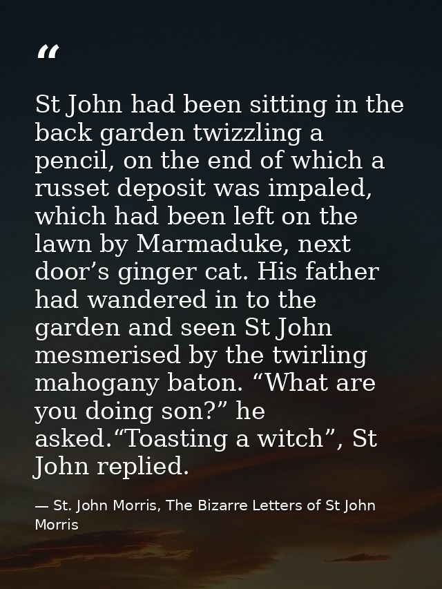 St John had been sitting in the back garden twizzling a pencil, on the end of which a russet deposit was impaled, which  — St. John Morris, The Bizarre Letters of St John Morris