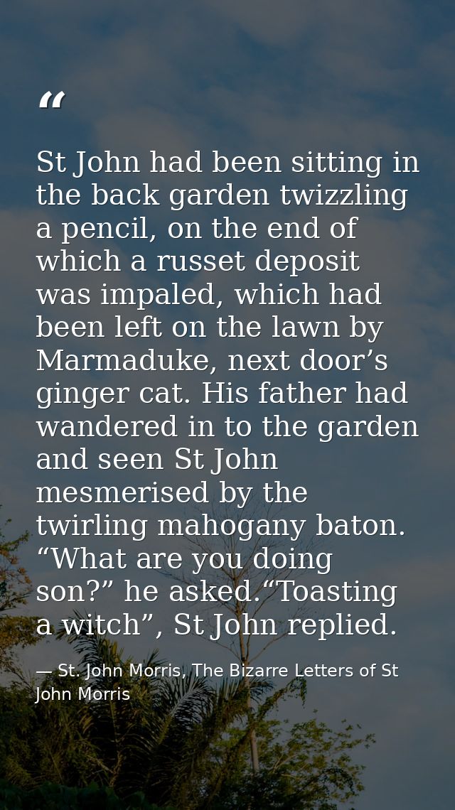 St John had been sitting in the back garden twizzling a pencil, on the end of which a russet deposit was impaled, which  — St. John Morris, The Bizarre Letters of St John Morris