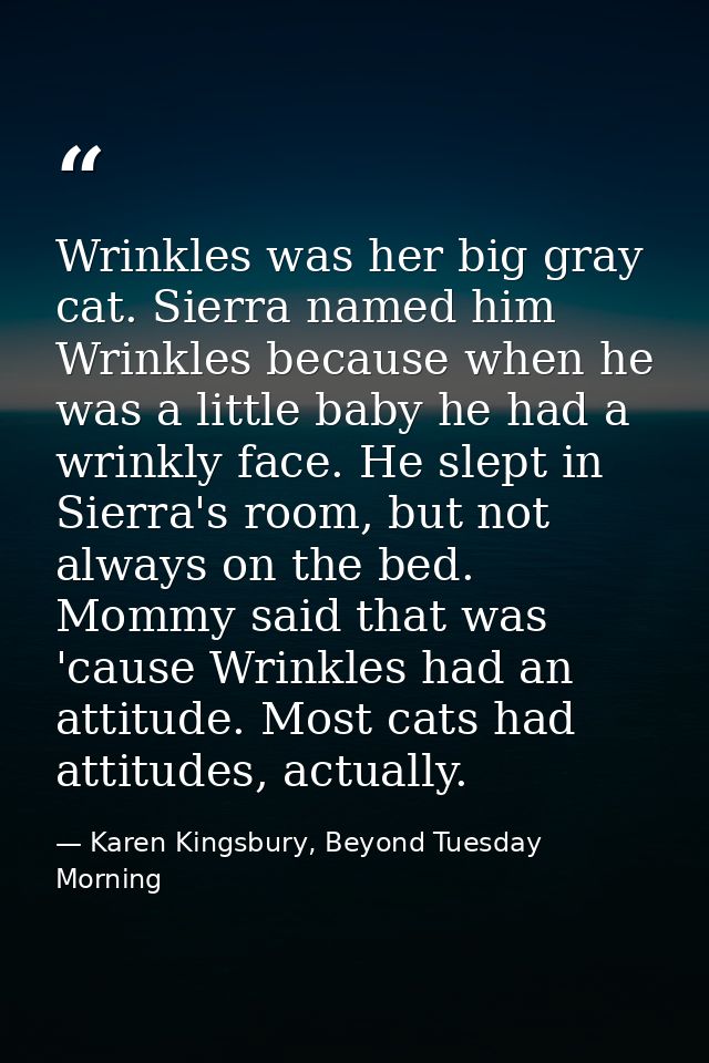 Wrinkles was her big gray cat. Sierra named him Wrinkles because when he was a little baby he had a wrinkly face. He sle — Karen Kingsbury, Beyond Tuesday Morning