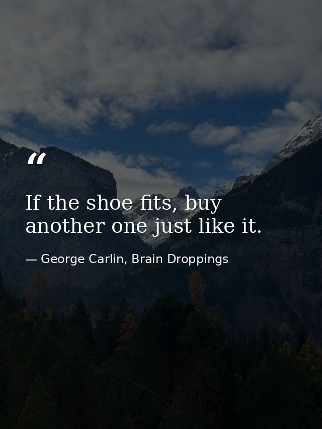 If the shoe fits, buy another one just like it. — George Carlin, Brain Droppings