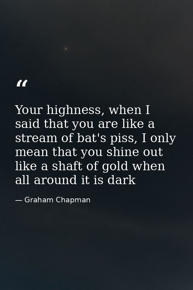Your highness, when I said that you are like a stream of bat's piss, I only mean that you shine out like a shaft of gold — Graham Chapman