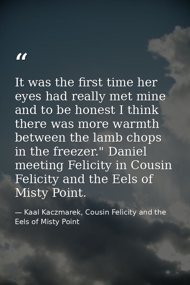 It was the first time her eyes had really met mine and to be honest I think there was more warmth between the lamb chops — Kaal Kaczmarek, Cousin Felicity and the Eels of Misty Point