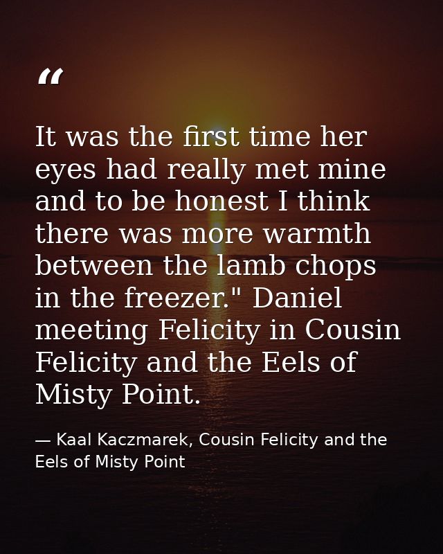 It was the first time her eyes had really met mine and to be honest I think there was more warmth between the lamb chops — Kaal Kaczmarek, Cousin Felicity and the Eels of Misty Point