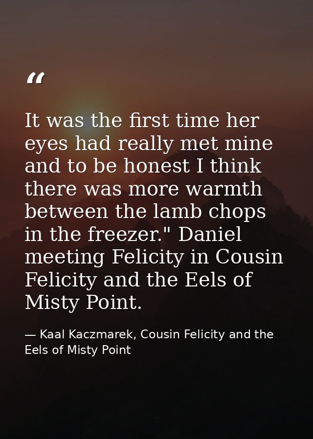 It was the first time her eyes had really met mine and to be honest I think there was more warmth between the lamb chops — Kaal Kaczmarek, Cousin Felicity and the Eels of Misty Point
