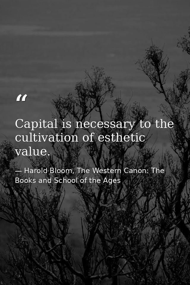 Capital is necessary to the cultivation of esthetic value. — Harold Bloom, The Western Canon: The Books and School of the Ages