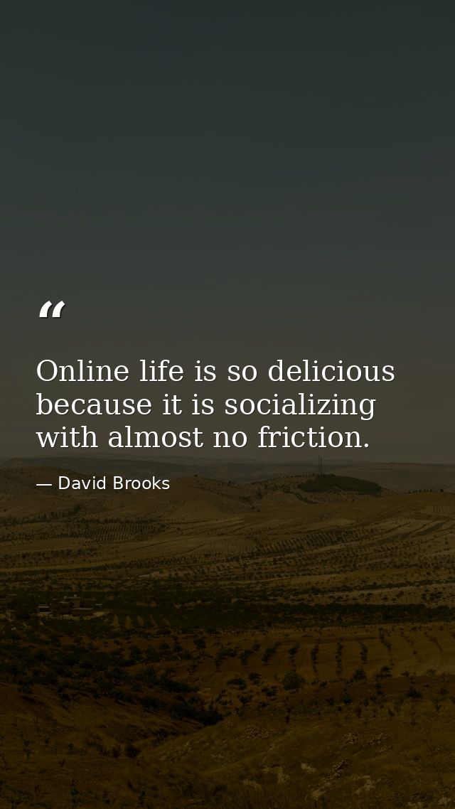 Online life is so delicious because it is socializing with almost no friction. — David Brooks