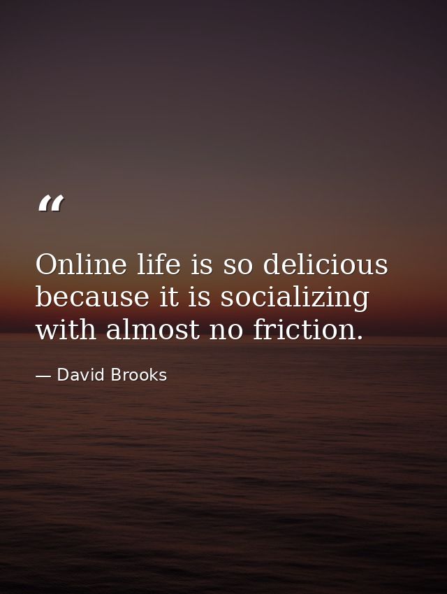 Online life is so delicious because it is socializing with almost no friction. — David Brooks