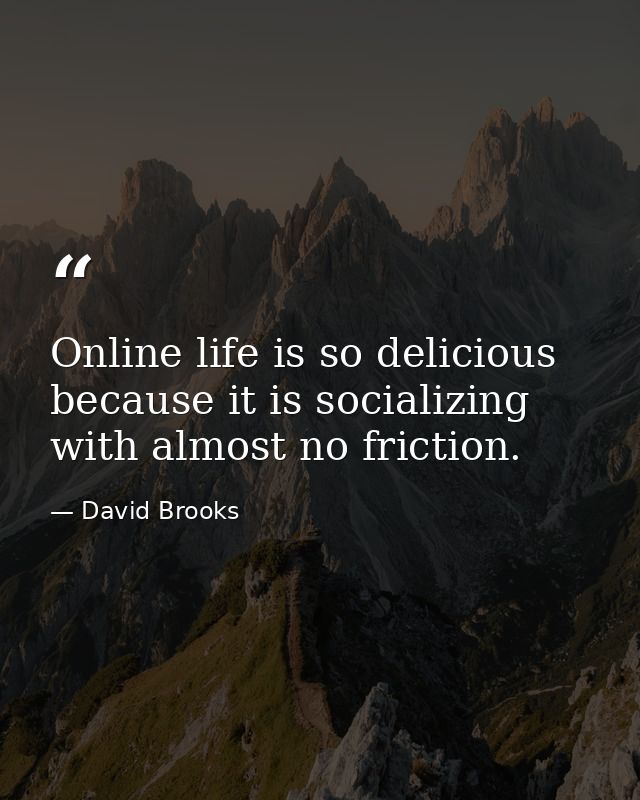 Online life is so delicious because it is socializing with almost no friction. — David Brooks